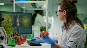 Automation & Smart Kitchens